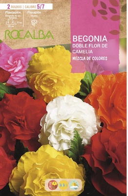 Bulbos Begonias Dobles Flor de Camelia Mezcla de Colores