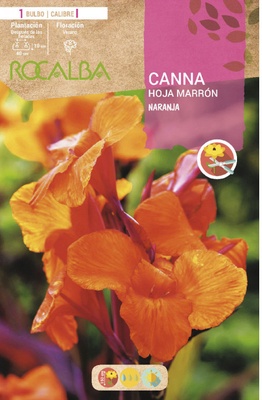 Bulbo Cannas Naranja