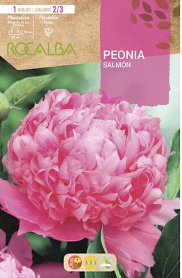 Bulbo Peonias Salmon Bulbo Peonias Salmon