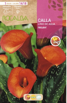 Bulbo Callas 14/18 Firelight Naranja