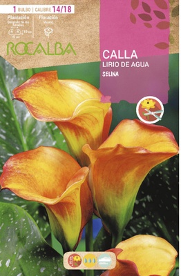 Bulbo Callas 14/18 Selina Amarillo con Rojo Bulbo Callas 14/18 Selina Amarillo con Rojo