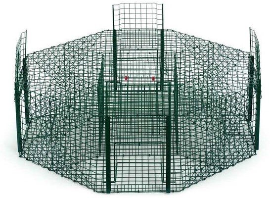 Jaula Captura Urracas Octogonal Pintada