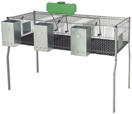 Jaula Conejos Penta 3 Suelo Plastico 3 Departamentos Jaula Conejos Penta 3 Suelo Plastico 3 Departamentos