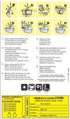 Arbol Frutal Naranjo 1 A�o