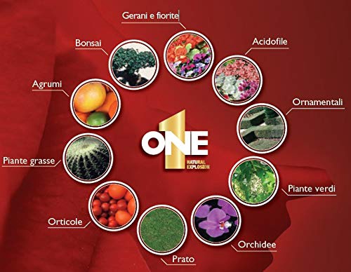 Abono Liquido Nutri 1 One Fertilizante Premium 1 Litro 