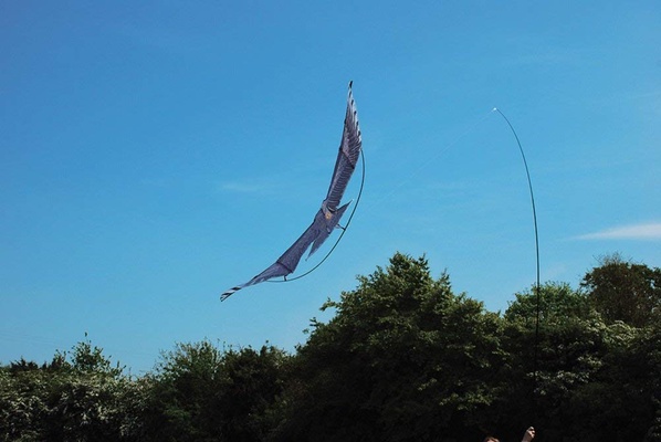 Cometa Espantapajaros Halcon de Vela 4 metros