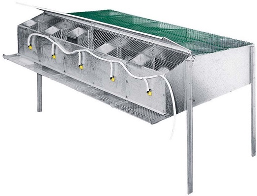 Jaula Cria Perdices 5 Departamentos Jaula Cria Perdices 5 Departamentos