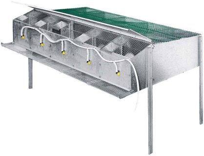 Jaula Cria Perdices 10 Departamentos