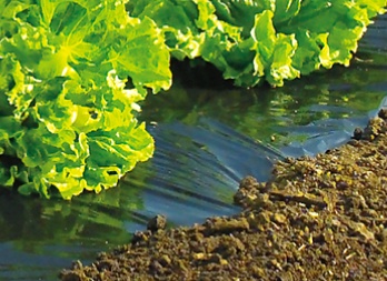 Film de Acolchamiento Especial Huerto Terrafilm 1,40x10mt Film de Acolchamiento Especial Huerto Terrafilm 1,40x10mt