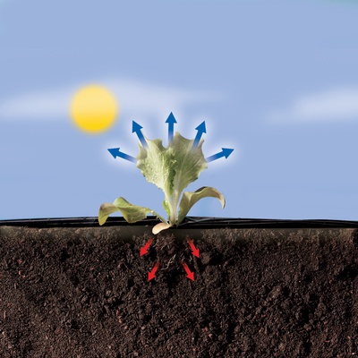 Film de Acolchamiento Especial Huerto Terrafilm 1,40x10mt Film de Acolchamiento Especial Huerto Terrafilm 1,40x10mt