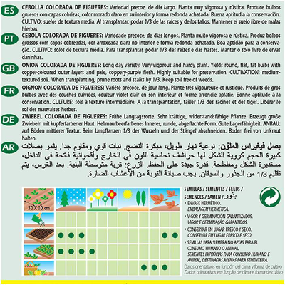 Semilla Cebolla Colorada Figueras