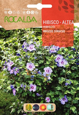 Semilla Hibisco Altea -hibiscus Syriacus- Semilla Hibisco Altea -hibiscus Syriacus-