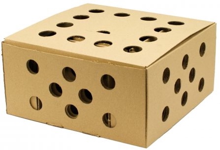 Kit Encendido Rapido Barbacoas Carboquick