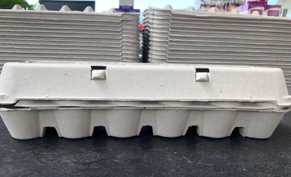 Huevera Carton Pack Ahorro 280 Unidades