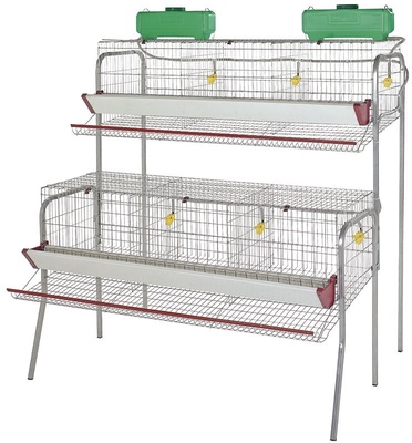 Jaula Gallinas Ponedoras 6 Departamentos