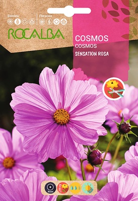 Semilla Cosmos Sensation Rosa
