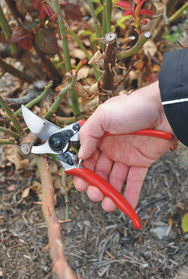 Tijeras de Poda Felco No. 11