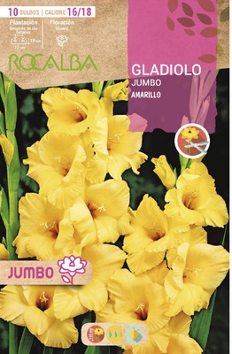 Bulbos Gladiolos Jumbo Amarillo Bulbos Gladiolos Jumbo Amarillo