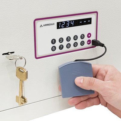 Caja Fuerte Empotrar Evolution 270x385x200-300