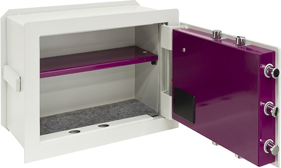 Caja Fuerte Empotrar Evolution 270x385x200-300
