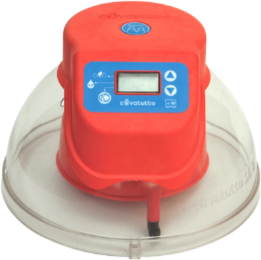 Placa Electronica Incubadora Covatutto 16 Digital