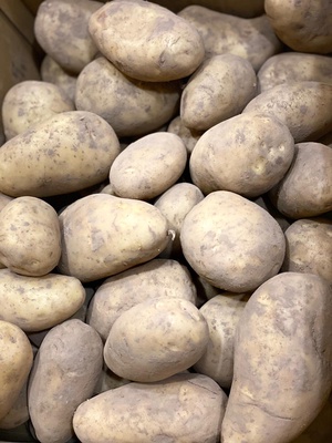 Patata Consumo La Perla Extra Patata Consumo La Perla Extra