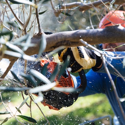 Motosierra de Poda Echo Cs 2511 Tes