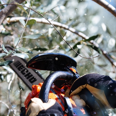 Motosierra de Poda Echo Cs 280 T