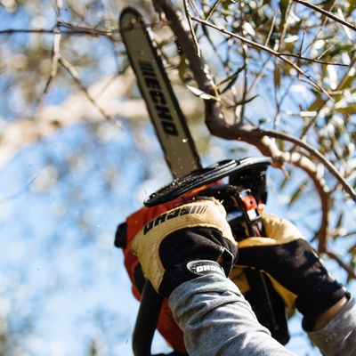 Motosierra de Poda Echo Cs 280 T