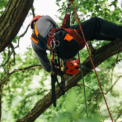 Motosierra de Poda Echo Cs 362 Tes