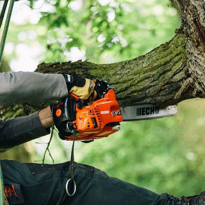 Motosierra de Poda Echo Cs 362 Tes