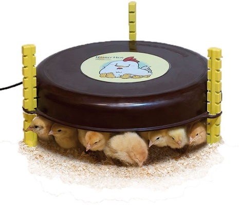 Calefactor para Pollitos Nanny Hen Nacedora