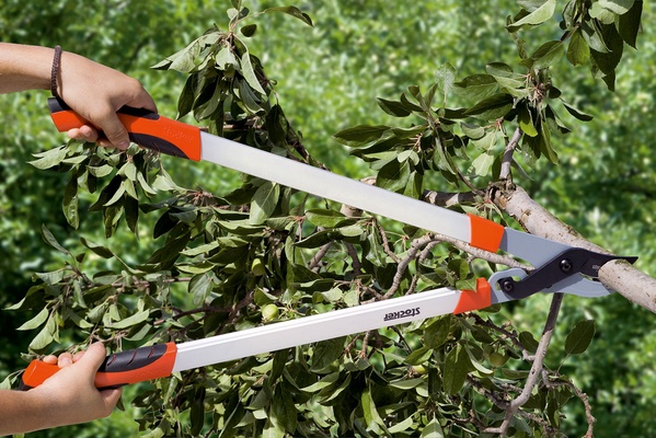 Tijera Cortarramas Profi 80 Bypass