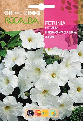 Semilla Petunia Hibrida Compacta Enana, blanca Semilla Petunia Hibrida Compacta Enana, blanca