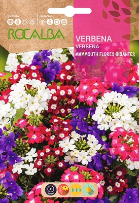 Semilla Verbena Mammouth, Flores Gigantes, Variada