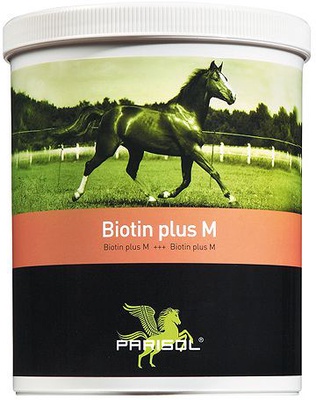 Parisol Biotin Plus m Gran Biotina 1000 gr Parisol Biotin Plus m Gran Biotina 1000 gr