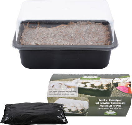 Set de Cultivo de Champi�ones
