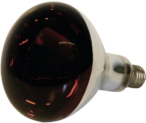 Bombilla Calor Infrarroja 150 W