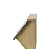 Caja Nido Vencejo Comun