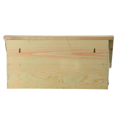 Caja Nido Vencejo Comun