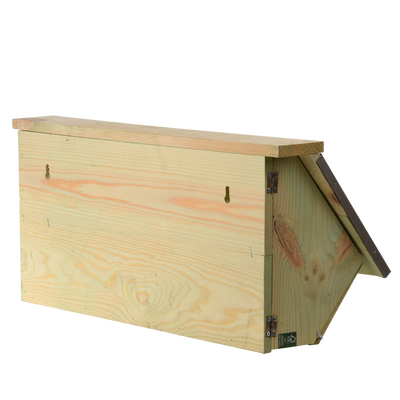 Caja Nido Vencejo Comun