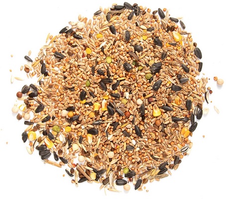 Mezcla de Semillas 4 Estaciones Mezcla de Semillas 4 Estaciones