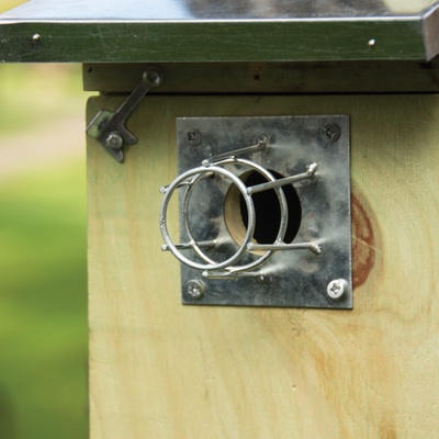 Protecci�n Contra Martas