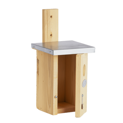 Caja Nido Pajaros Reyezuelo