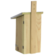 Caja Nido de Observacion