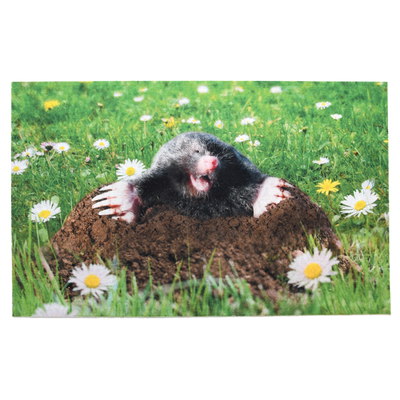 Felpudo Topo Felpudo Topo