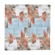 Servilletas de Papel Gallinas 33x33cm