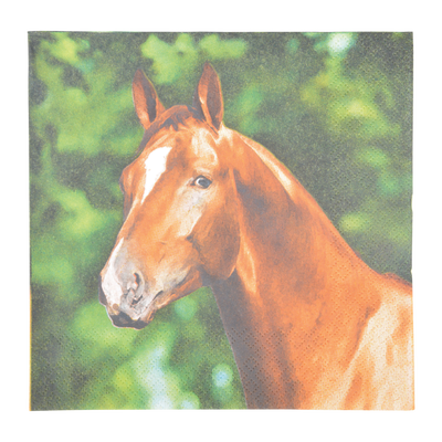 Servilletas de Papel Caballo 33x33cm