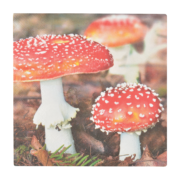 Servilletas de Papel Seta Venenosa / Hojas