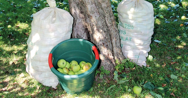 Cesto Multiusos Toni 70 l